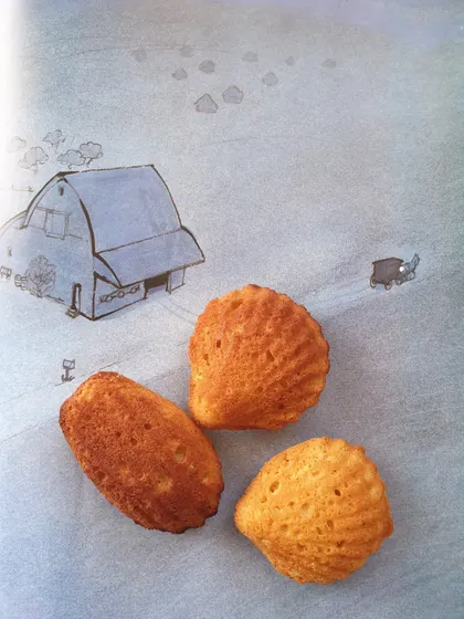 Madeleines