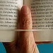 Kitap Dolaşımı