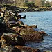 Anadolu Feneri