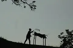Beni hatırlayınız!