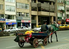 Vatan