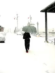 Elhan-ı Şita