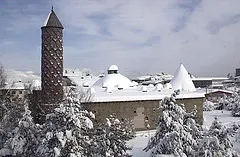 Sevin Bu İnsanları