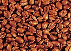 Evlilik Üzerine