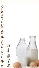 Sütlü Tatlılar