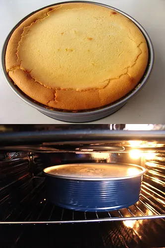 Böğürtlenli Peykek