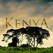 Kenya yolcusu kalmasın!