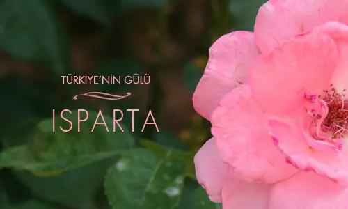 Türkiye'nin Gülü: ısparta