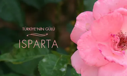 Türkiye'nin Gülü: ısparta