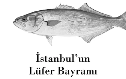 istanbul'un lüfer bayramı