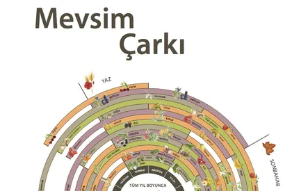 Mevsim Çarkı